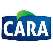 Logo CARA SARL