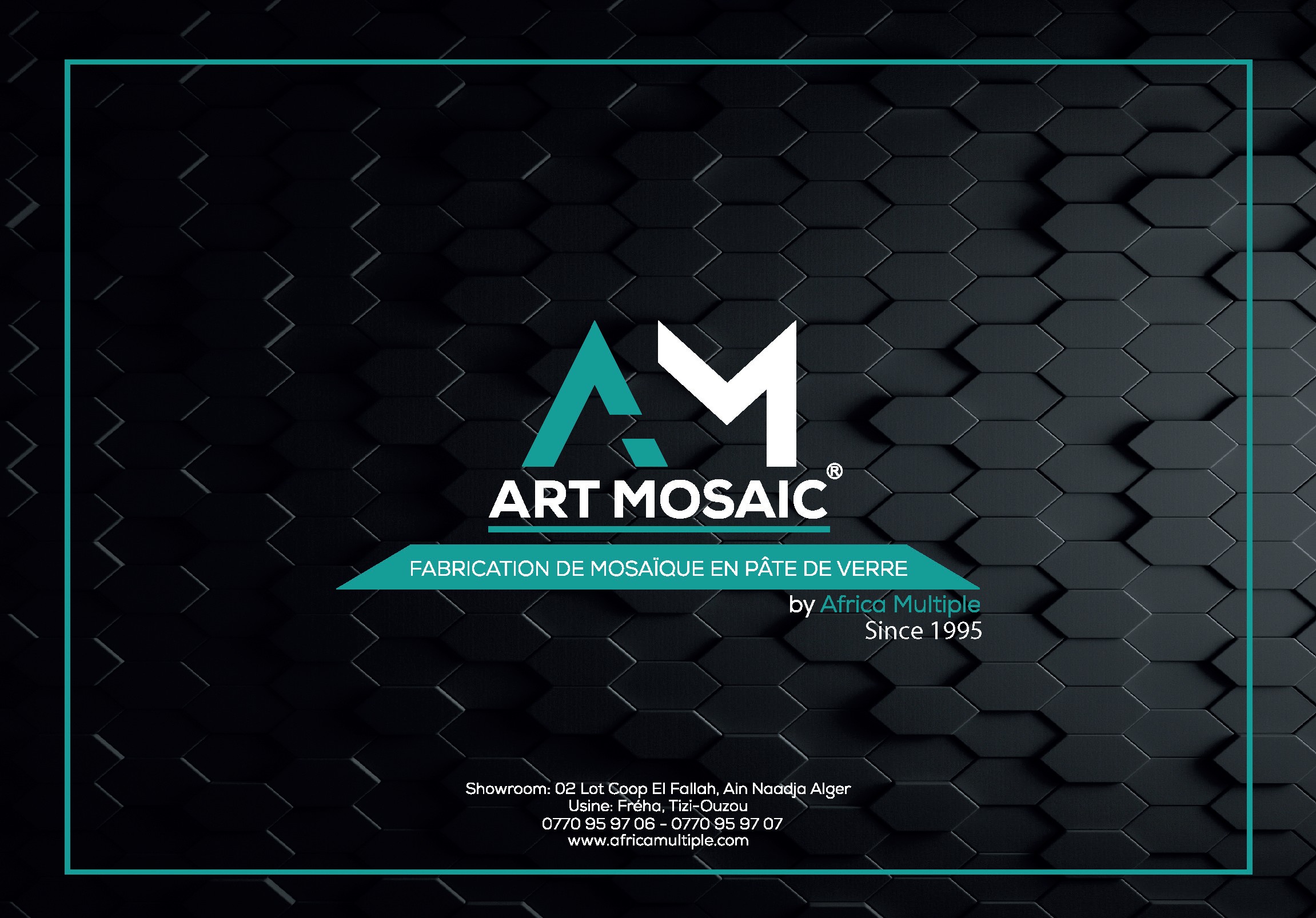 Logo AFRICA MULTIPLE SARL