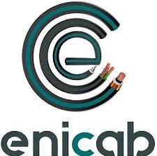 Logo ENICAB SPA