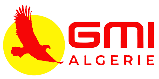 Logo GMI ALGERIE EURL